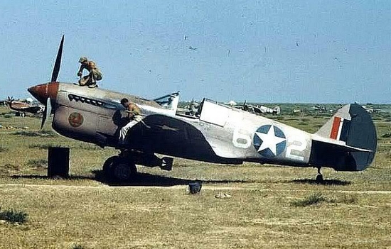 P-40F