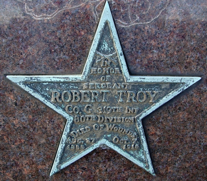 Robert Troy